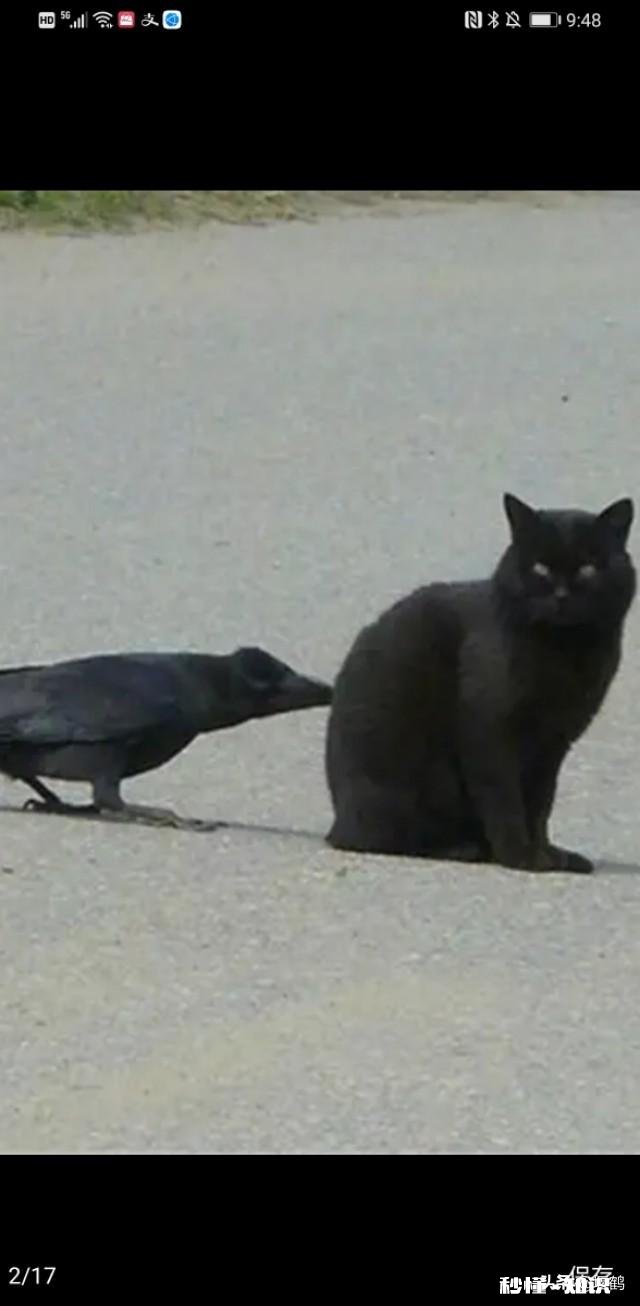 跟女朋友出去玩要不要承担所有的开销