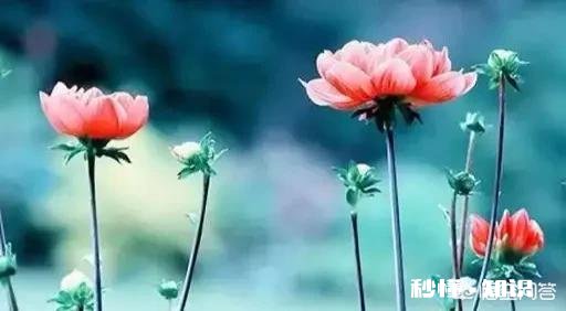 好多女性重男轻女比男性还严重，仿佛忘记自己也是女的，该如何解释这种现象