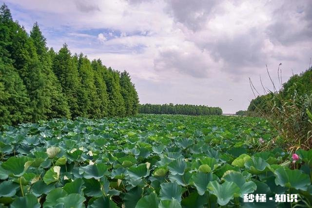 现今社会每天勤奋辛苦工作，能过上自己想要的优质生活嘛