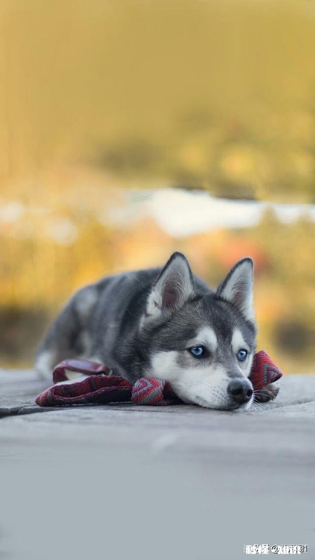 有人说他真心很爱你,但是很多事情他都隐瞒你,后来你知道了还会相信他是真的爱你吗