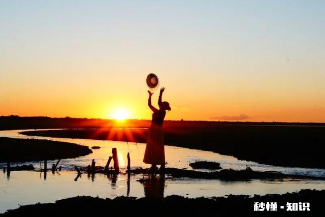 怎样才能忘记前任，开始新的旅途