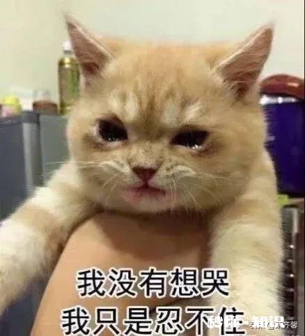 怎样才能忘记前任，开始新的旅途