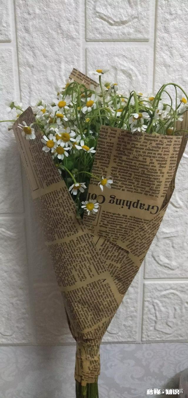 再过一个多月，就是29岁生日了。突然发觉自己开始老了。很想成家结婚生子，可是圈子很窄，怎么破