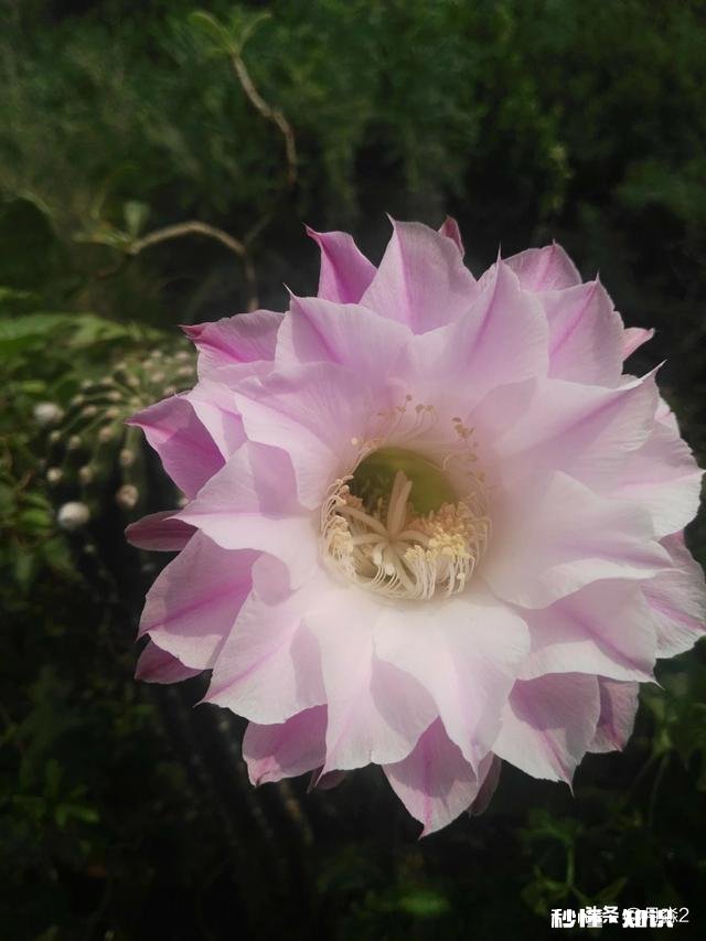 关于相亲相中的对象，你你还满意吗