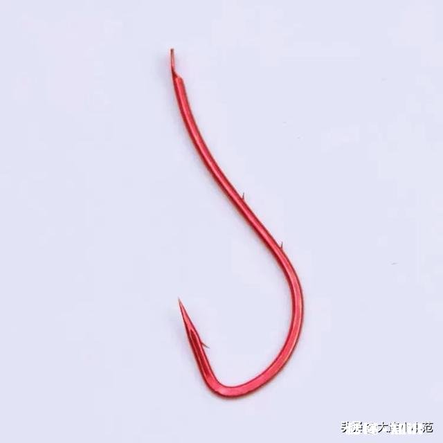 这鱼钩的钩柄较长，知道它适合钓啥鱼吗