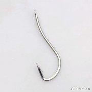 这鱼钩的钩柄较长，知道它适合钓啥鱼吗