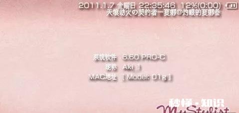 现在psp3000刷的什么游戏版本