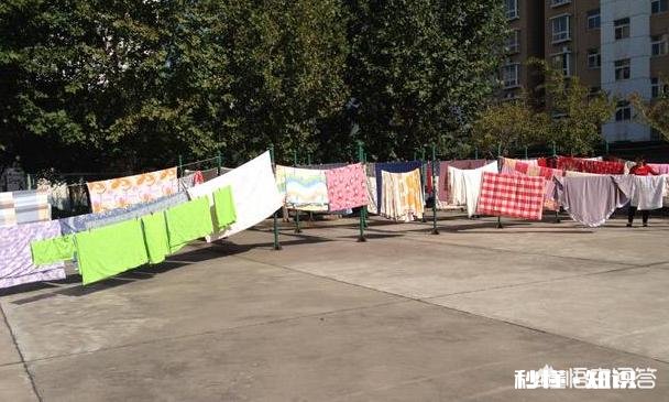 皮肤的好坏，跟螨虫有关系吗