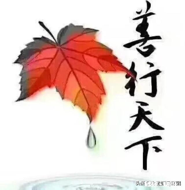 善良的人，总是为别人着想的人活的都很累，是不是坏一点才不会顾及这么多