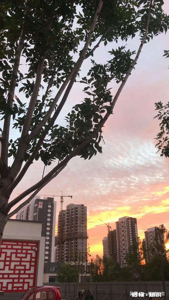 善良的人，总是为别人着想的人活的都很累，是不是坏一点才不会顾及这么多