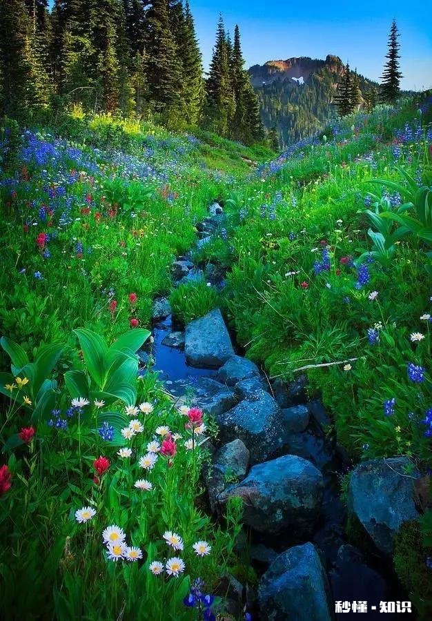 上联：上有天堂，如何接下联