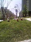 验收房子你觉得最大的欺骗是什么