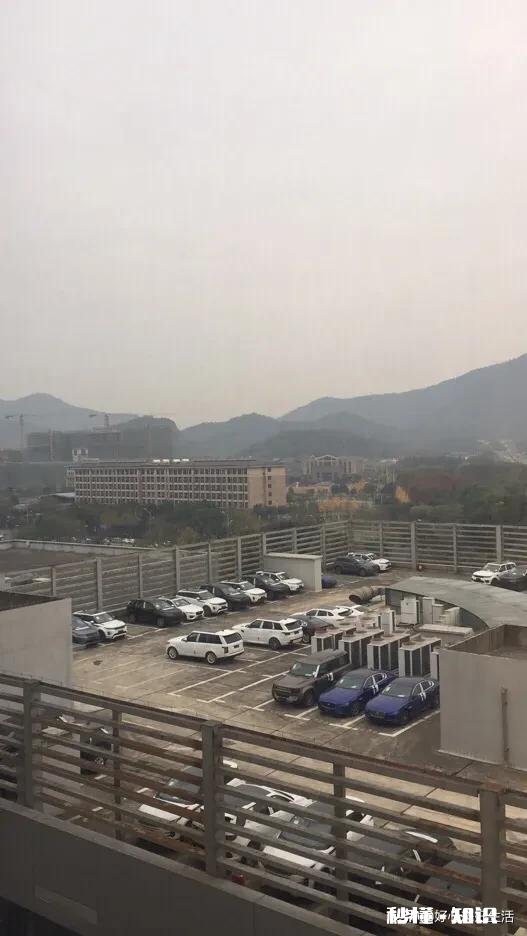 大学生谈恋爱过年需要给对方父母买东西吗