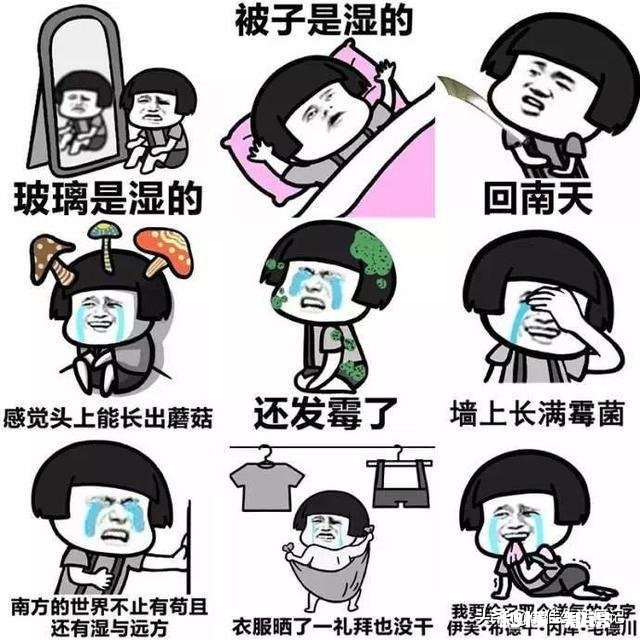 回南天用盐水拖地真的会有用吗