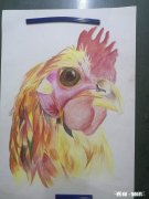 童年的夏天儿时最喜欢的活动是什么