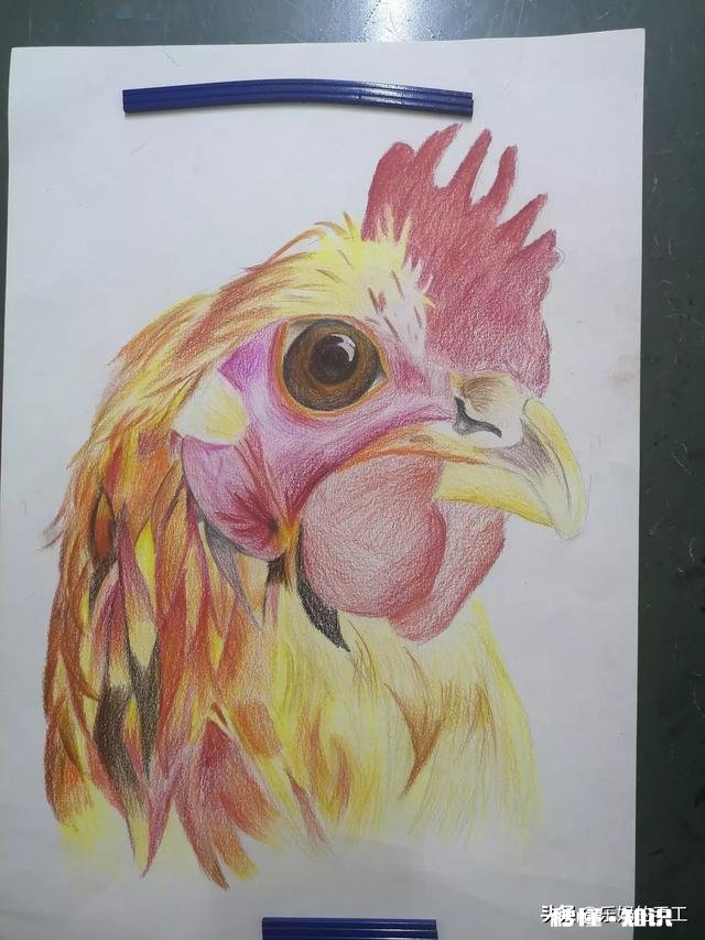 童年的夏天儿时最喜欢的活动是什么