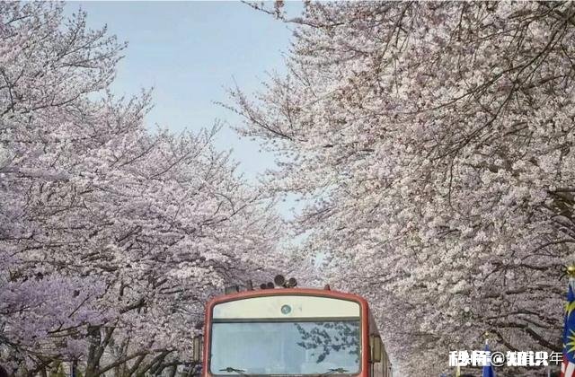 20岁还在读高三，应该感到自卑吗