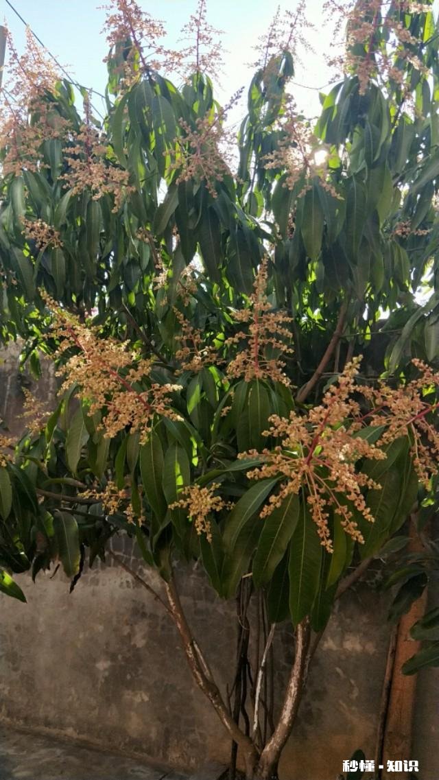 我已退休等老公明年退休后想租一个小院当候鸟，不知哪个地方合适