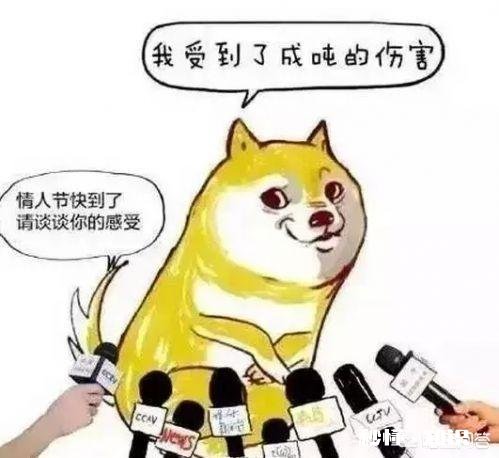 单身久了是一种什么样的感觉，佛系了