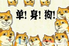 单身久了是一种什么样的感觉，佛系了