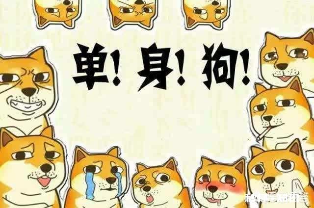 单身久了是一种什么样的感觉，佛系了