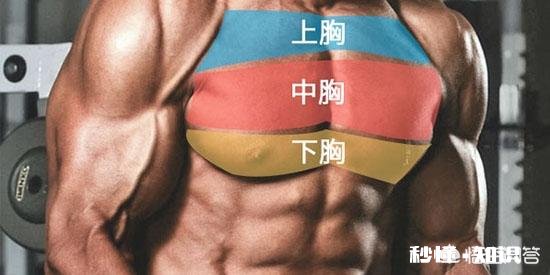 胸肌上部怎么练饱满,胸肌上部练饱满的技巧是什么