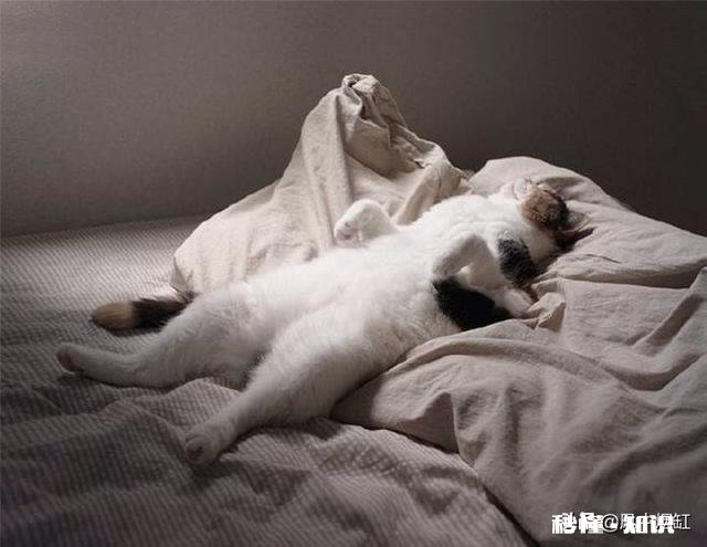 降龙掌在乔峰手中威力强大，可在洪七公手中，为何打不过王重阳