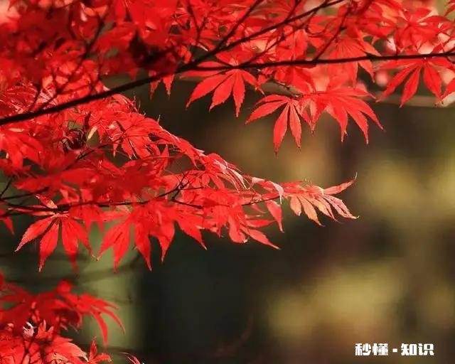 努力就会成功，成功就自由，自由就有钱，是这样的吗你认为呢