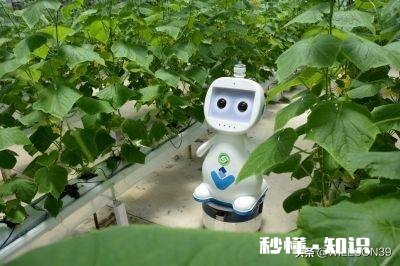 农产品不值钱是不是逼着更多的农民摞荒