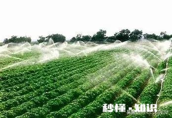 农产品不值钱是不是逼着更多的农民摞荒