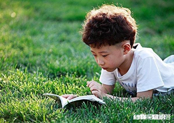 为什么孩子看了很多书却写不好作文