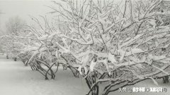 学生初一数学一点不会，怎么办