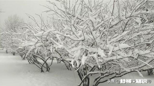 学生初一数学一点不会，怎么办