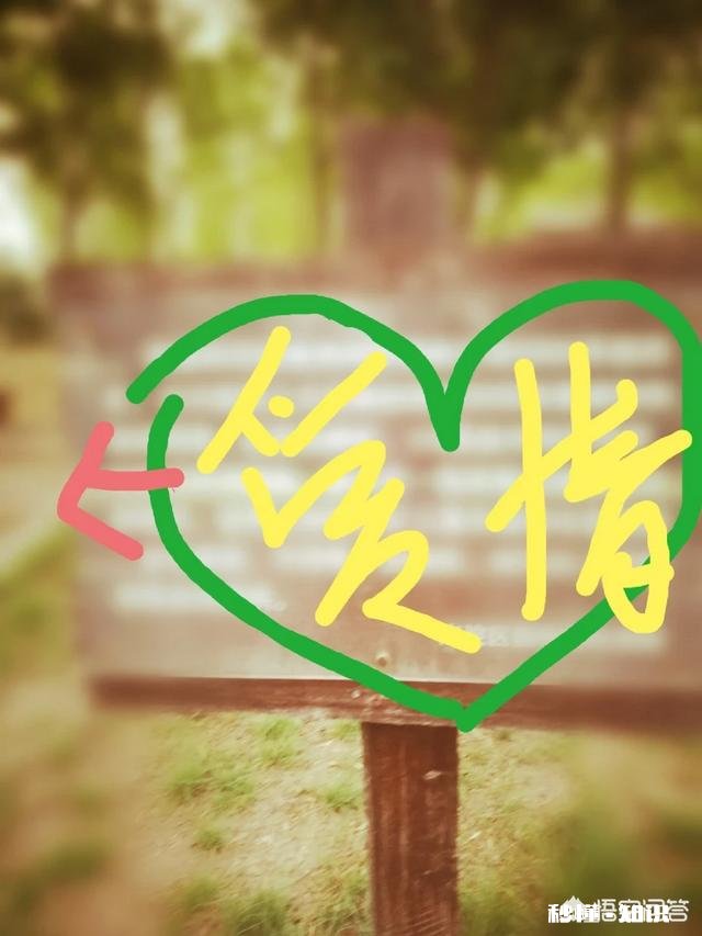 男人出轨后回归家庭，说给他时间忘记那段两年的感情，你们说这个能忘记吗