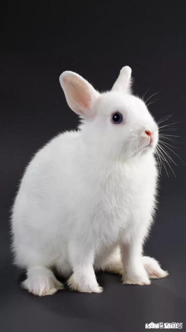 你觉得家庭暴力和冷暴力哪个更可怕为什么有的人宁愿挨打受气也不愿离婚