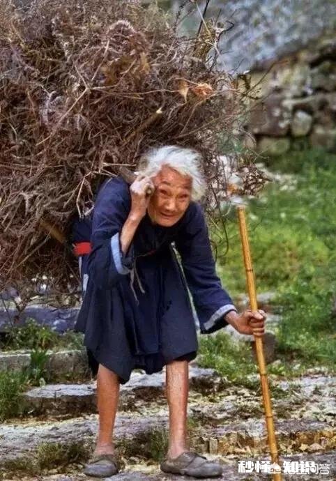 你觉得公交车上的“请您为老弱病残孕及怀抱婴儿的乘客让座”这句话该不该取消掉为什么