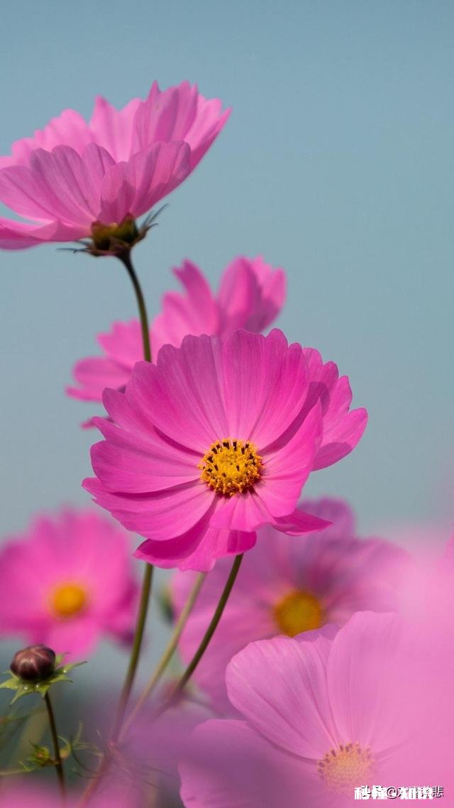 从范爷，马爸爸等称呼说起，如何看中国文化传承