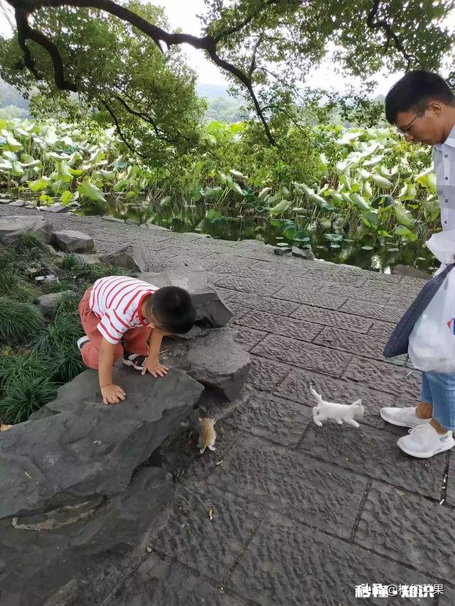 你能一句话讲一个悲剧故事吗