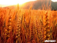 70后老了之后最期待的是什么