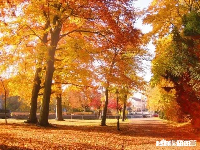 如何改变自己“孤独、寂寞、冷”的现状如何做好2019年的规划