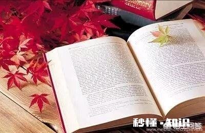 如何改变自己“孤独、寂寞、冷”的现状如何做好2019年的规划