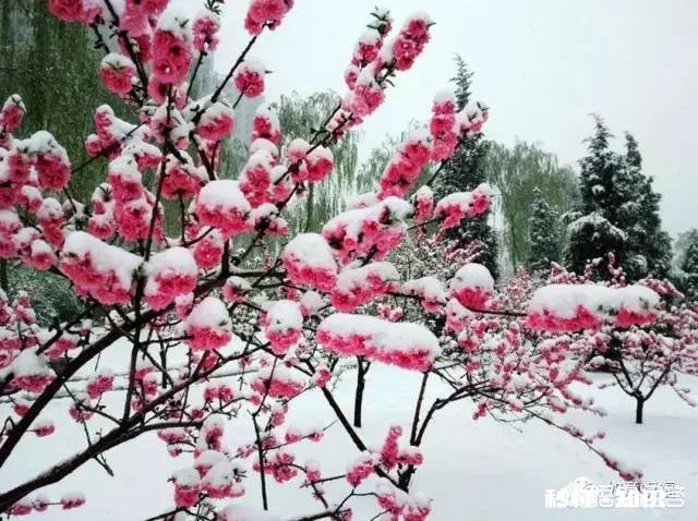 如何改变自己“孤独、寂寞、冷”的现状如何做好2019年的规划