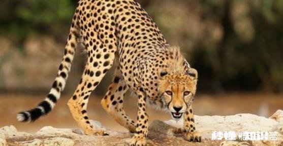 健身房里，怎样提升爆发力