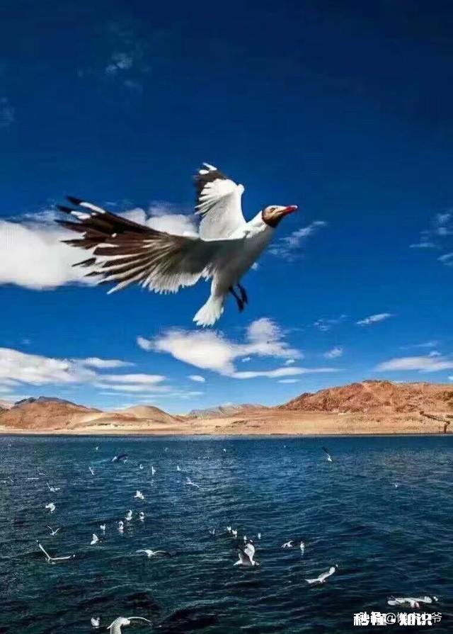 家里穷，孩子想花自己攒的30000块去旅游，家长该不该同意