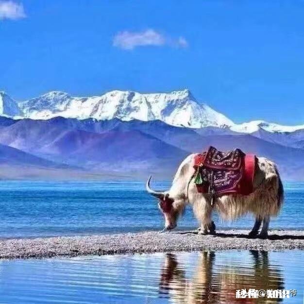 家里穷，孩子想花自己攒的30000块去旅游，家长该不该同意