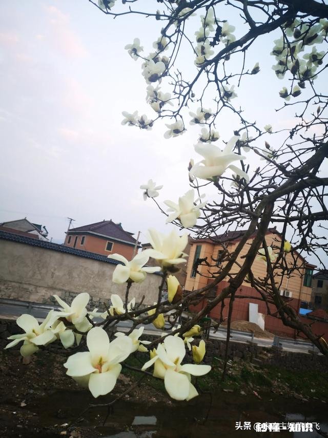 最美的风景在心里，情怀决定你看到的事物是否美好，是这样吗