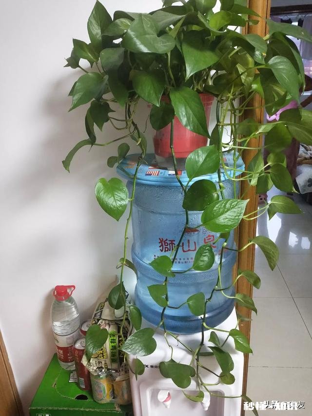 最美的风景在心里，情怀决定你看到的事物是否美好，是这样吗