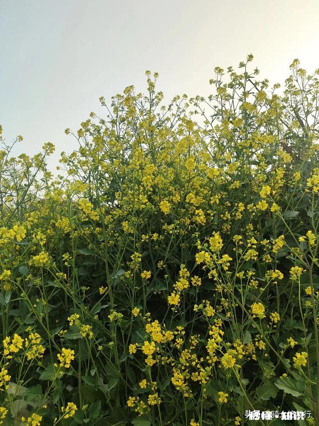 身边没人陪可以做什么