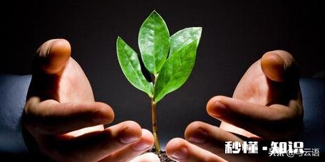 现在的你，还彷徨无助么