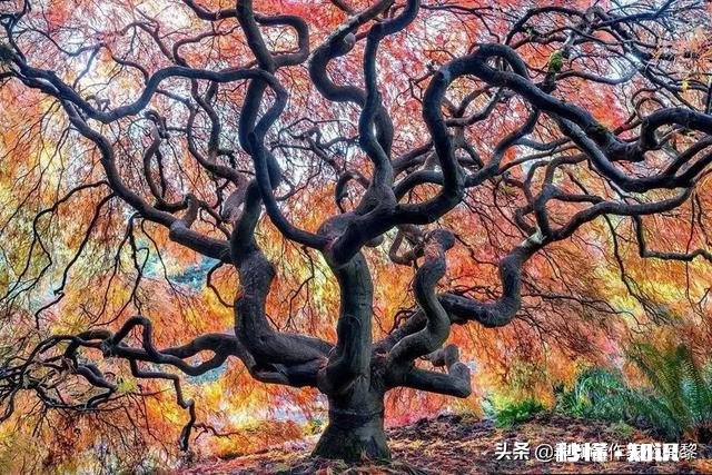 知道他心里没我还要为孩子继续努力维持婚姻吗